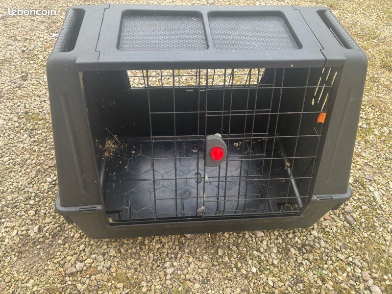 Cage chien auto (image 1)