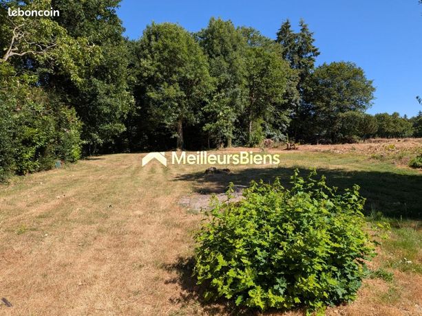 Terrain 1 385 m² Les Brulais