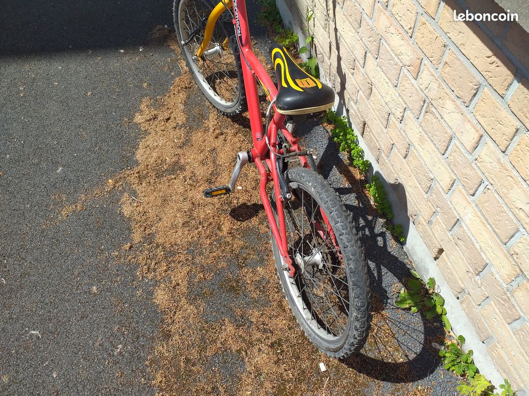 Vélos enfants (image 3)