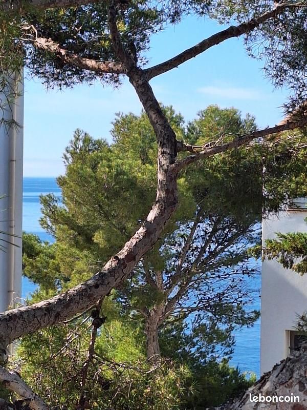 Appartement 2 pièces 47 m² · à Carry-le-Rouet · 47 m² · 300 000 €
