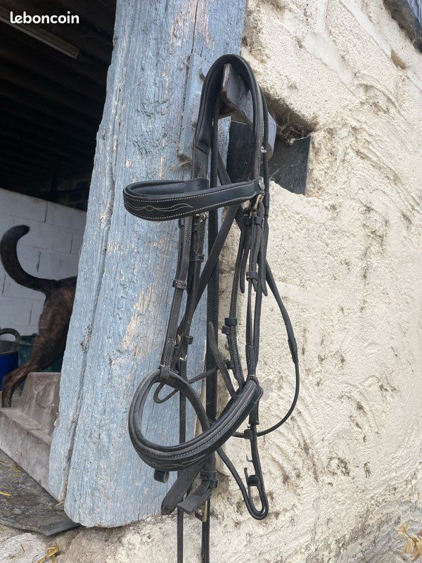 Filet Dyon taille COB (image 2)