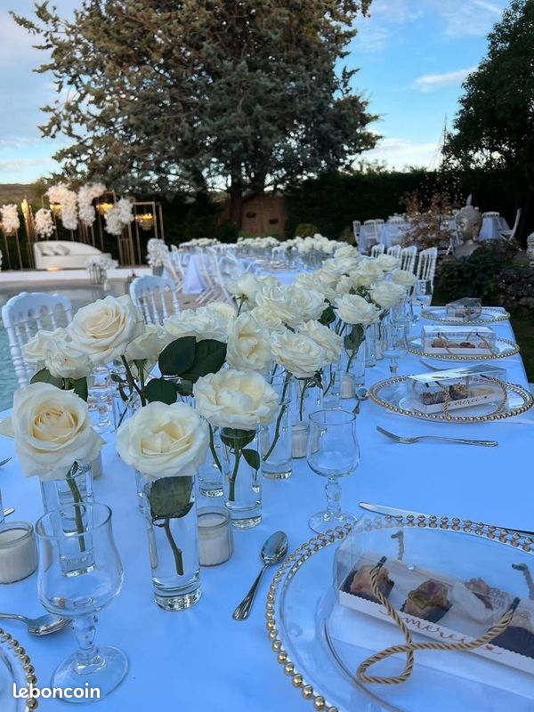 LOCATION DE JARDIN. Événements - soirée - (image 5)