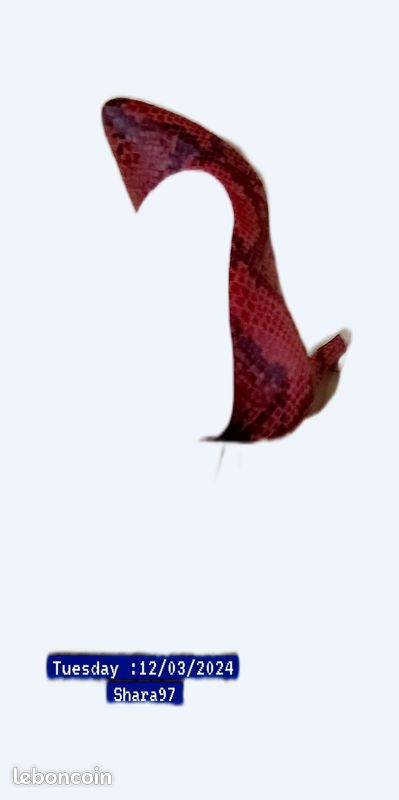 Chaussure (image 1)