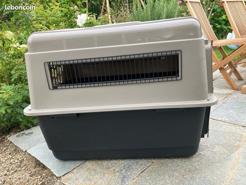 Caisse transport chien (image 3)