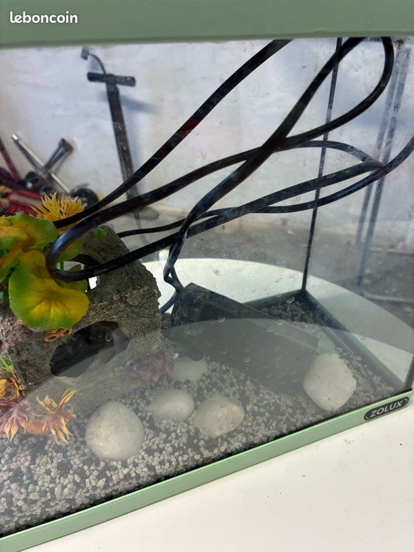 Aquarium (image 2)
