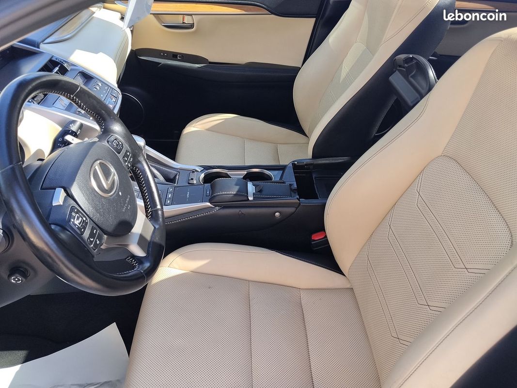 Lexus NX 300H 4WD LUXE (image 13)