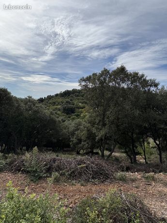 Terrain 817 m² MONOBLET