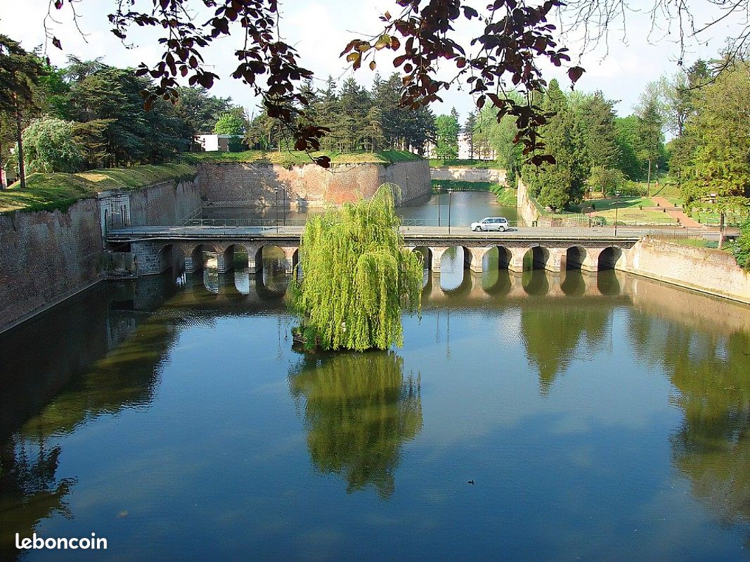 Ferme en ville arrive à Le Quesnoy ! - Nord Info