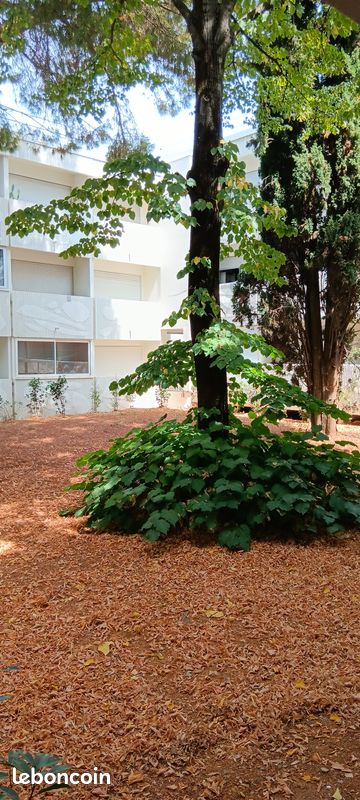Appartement 1 pièce 19 m² · à Montpellier · 19 m² · 119 900 €