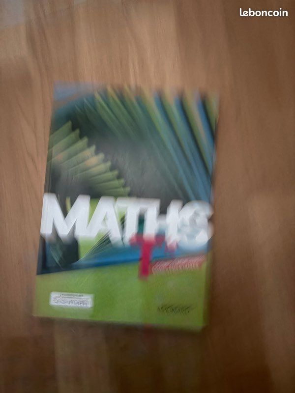 Manuels St Martin terminale (image 14)