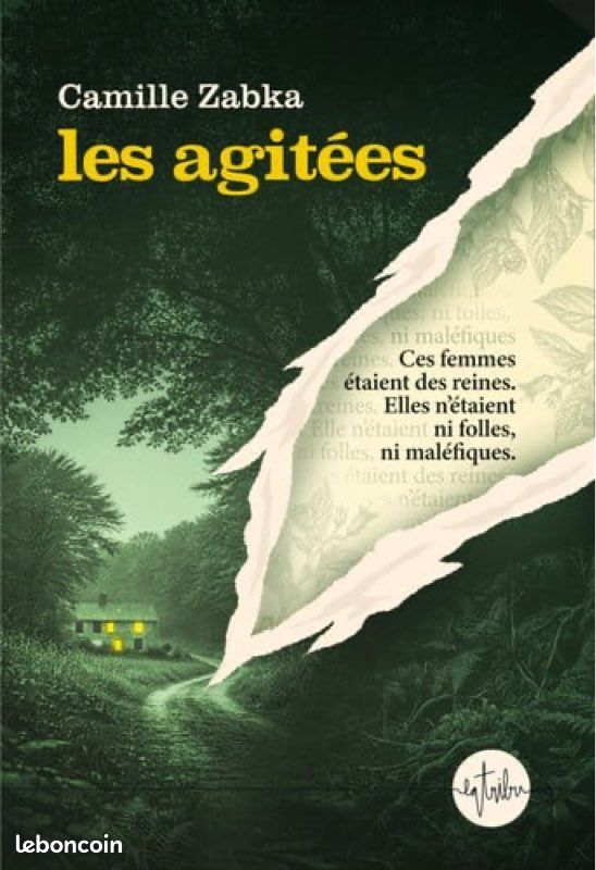 Les agitées roman (image 1)