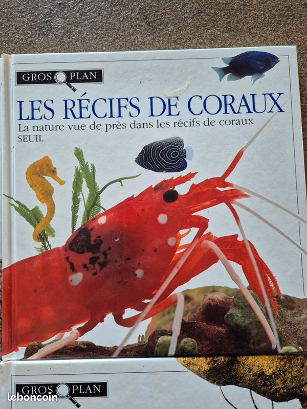 Lot de 4 livres les déserts, les récifs de coraux, les grottes et les marais (image 4)