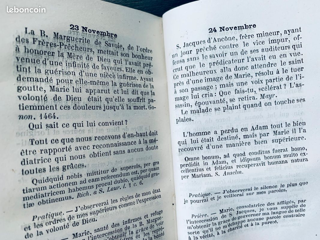 Livre religieux catholique de 1866 l’année de Marie (image 12)