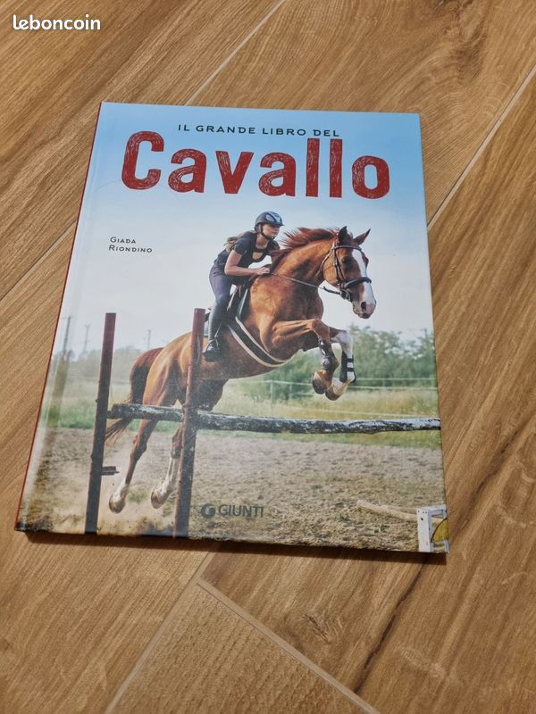 Livre en italien (image 1)