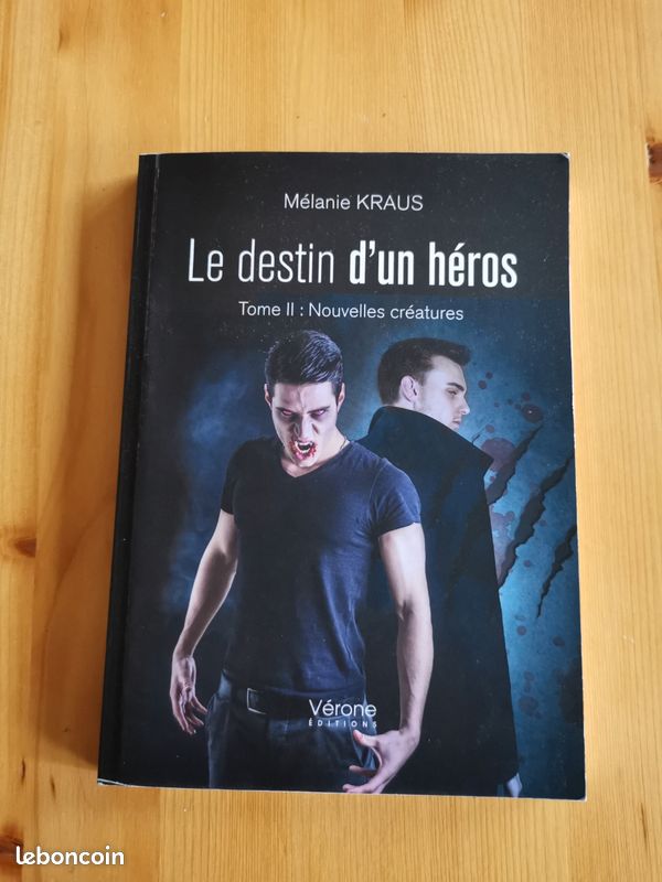 Le destin d'un héros de Mélanie Kraus (image 2)