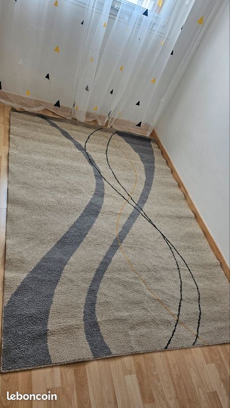 Tapis de salon (image 2)