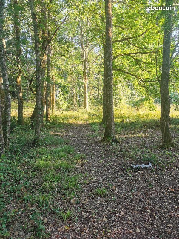 Terrain d'agrément · à Cambes · 17 868 €
