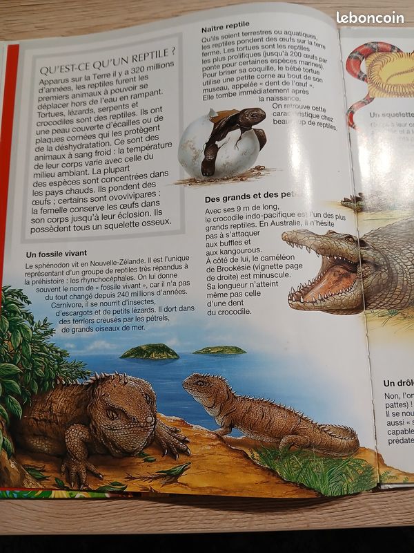 3 livres "Les reptiles"+"L'homme qui plantait des arbres"+"Alice et le fantôme" (image 2)
