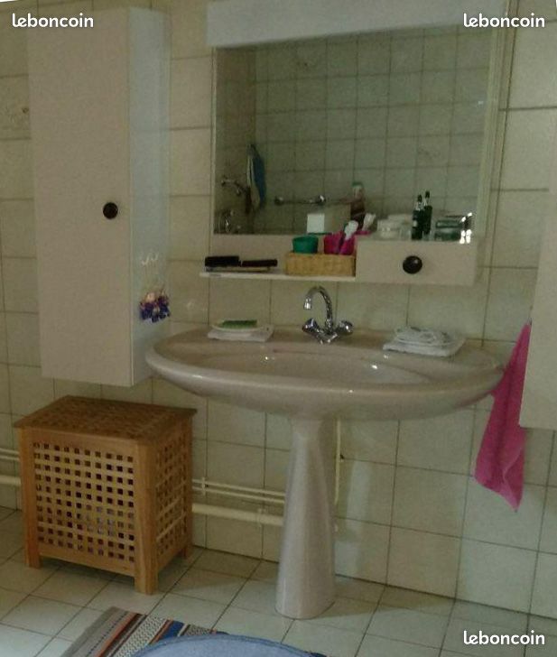 Grand lavabo vintage sur colonne - Bon état (image 1)
