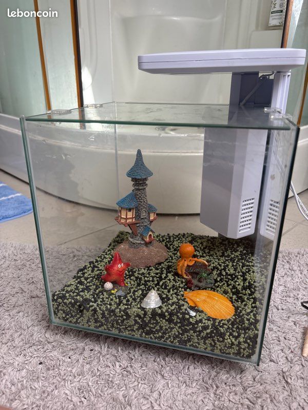 Aquarium (image 1)