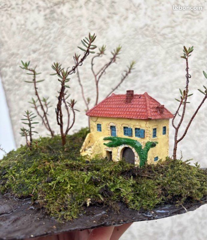 Paysage bonsai foret sur auge (image 5)