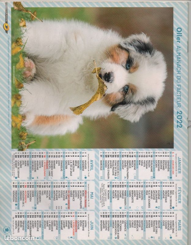 Calendrier 2022 Bumble Bear Couples - Ours Mignons & Colorés - Affichage Mensuel - Idée Cadeau Mignonne