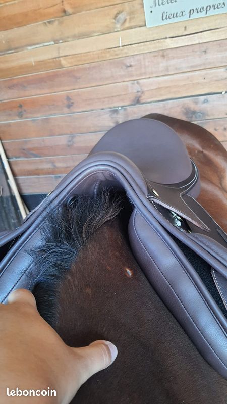 Selle cheval neuve Éric Thomas (image 4)