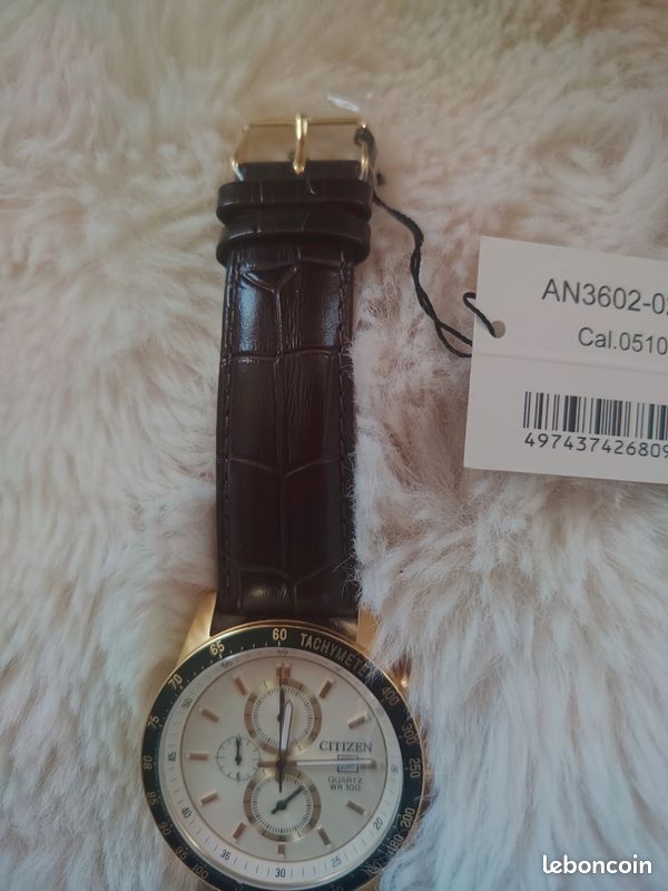 Montre Citizen 100th anniversary (image 6)