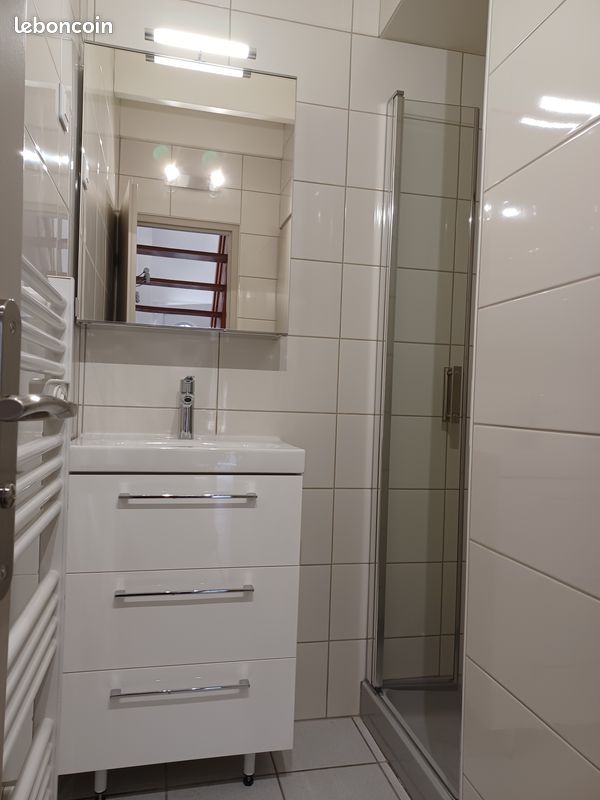 2 pièces meublées secteur Place des Carmes, Palais de Justice - Limoges 87000 Centre-Hôtel de Ville Emailleurs (image principale 2)