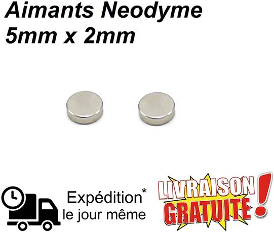 Lot 50 Aimants Frigo Néodyme Neodium Rond Fort Strong Magnet 5 mm x 2 mm  NEUF