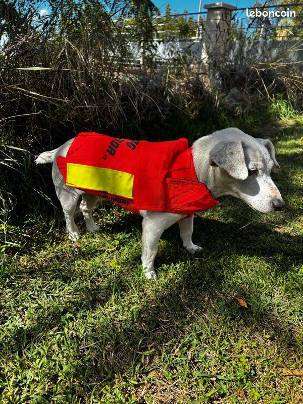 Full mundur Gilet de chasse en polaire respirante, gilet de dressage canin, gilet d'extérieur multipoches pour hommes Full mundur Gilet de chasse en polaire respirante, gilet de dressage canin, gilet d'extérieur multipoches pour hommes