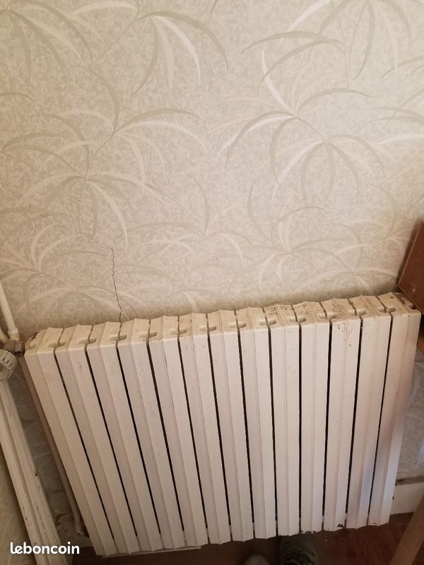 Radiateur fonte (image 1)