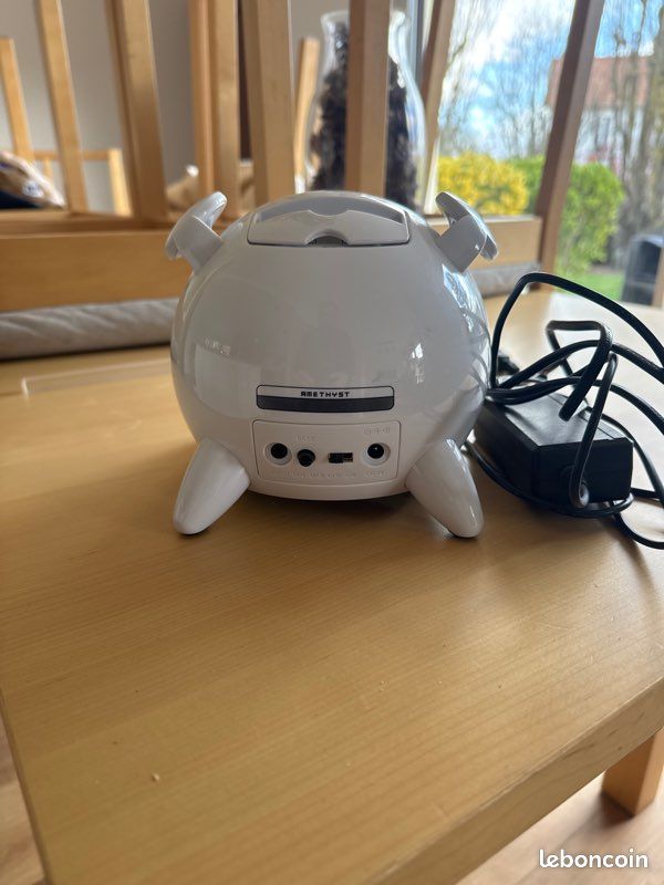 Enceinte cochon (image 2)