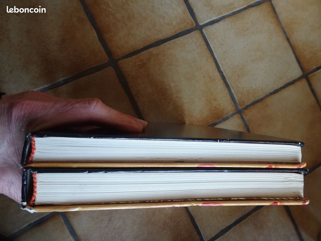 Livres "Le grand livre des Travaux à l'aiguille (Tome 1 et 2)" (image 4)