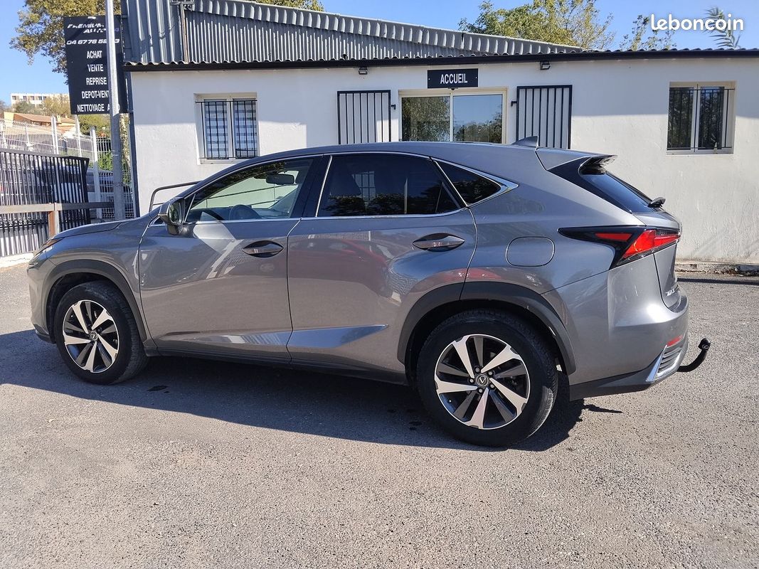Lexus NX 300H 4WD LUXE (image 6)