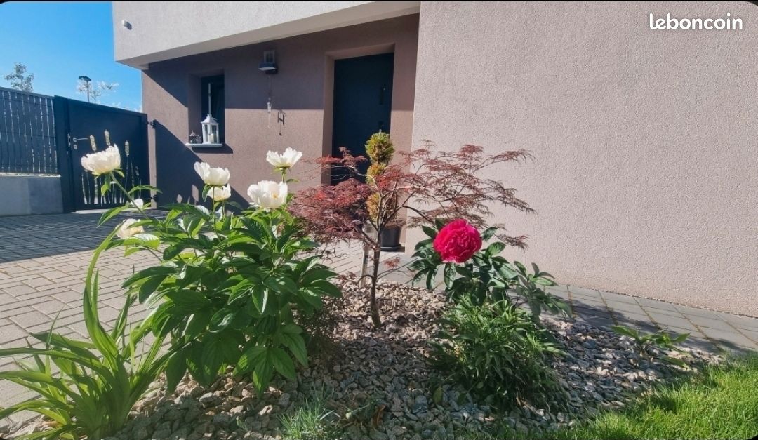 Maison 6 pièces 125 m² · à Colmar · 125 m² · 549 000 €