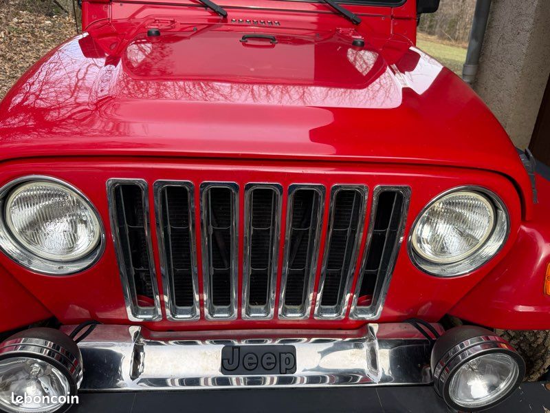 Cache chrome wrangler tj (image 1)