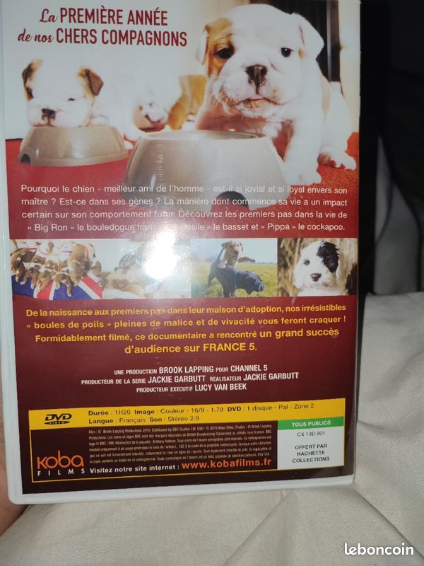 Une vie de chiot (image 2)