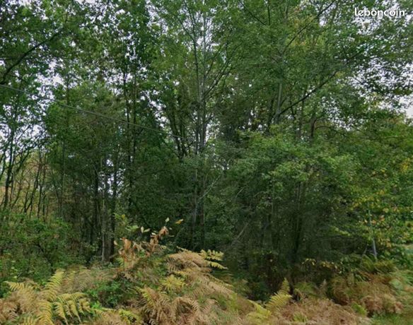 Bois 10 hectares un seul tenant dans la Double