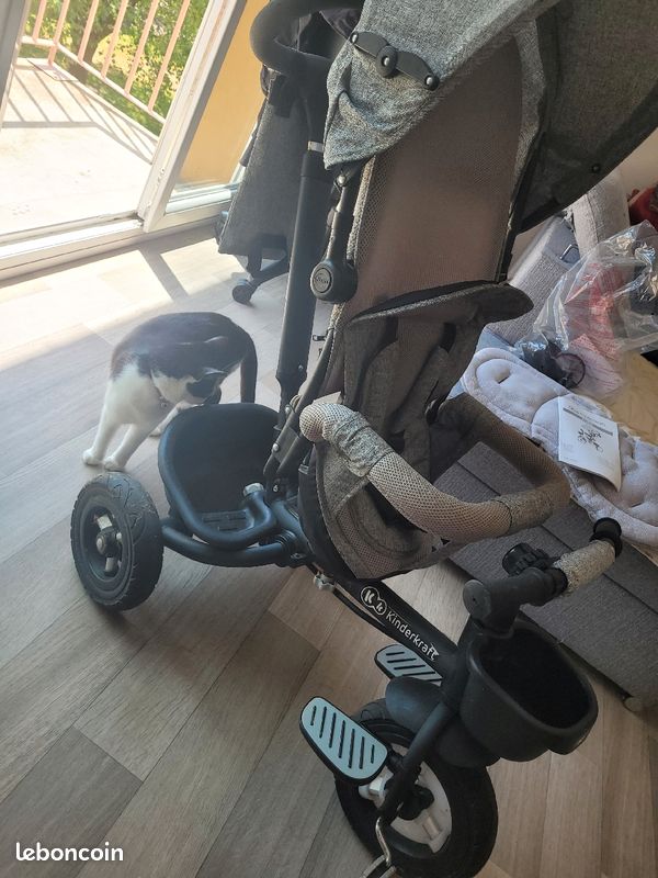 Tricycle kinderkraft (image 2)
