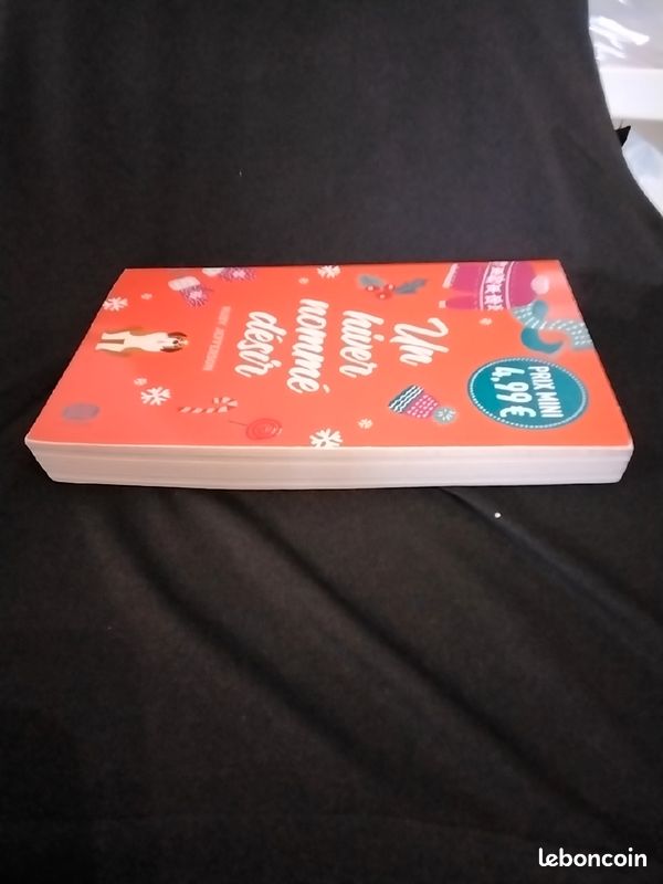 Un hiver nommé désir de Ruby Jefferson (image 4)
