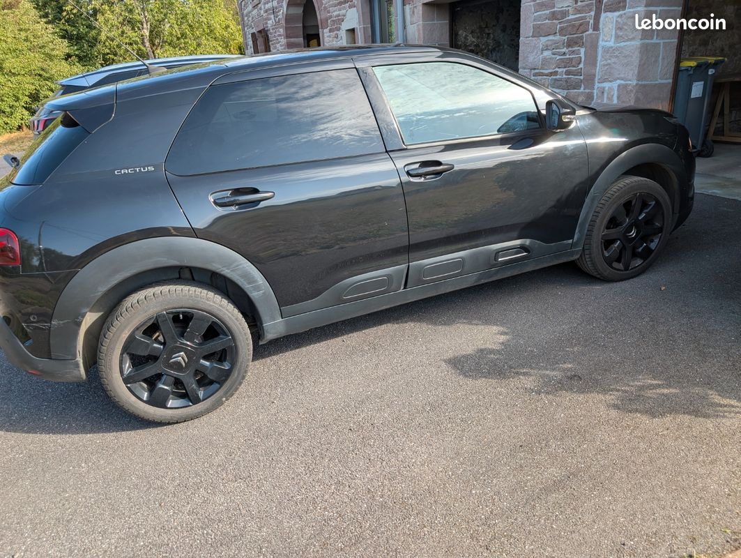 Cactus (image 3)