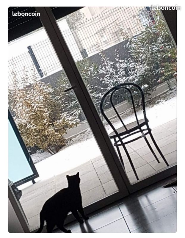 Appartement 2 pièces 47 m² · à Montpellier · 47 m² · 905 €