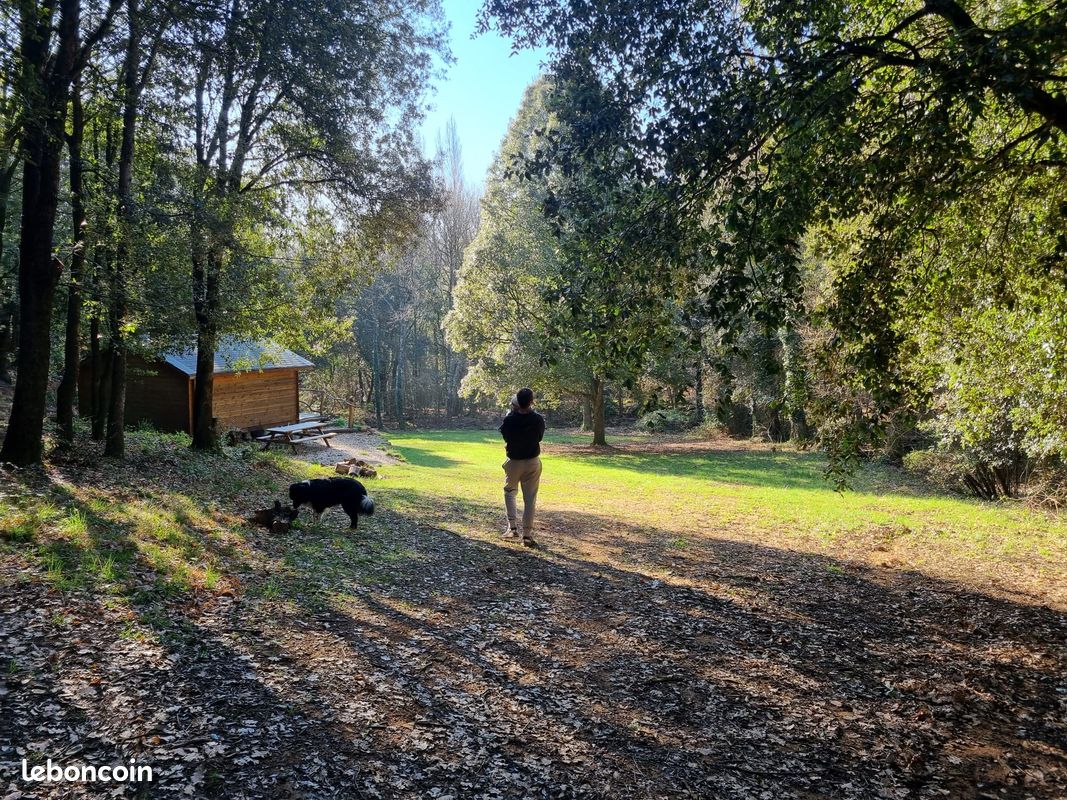 Location (image 5)