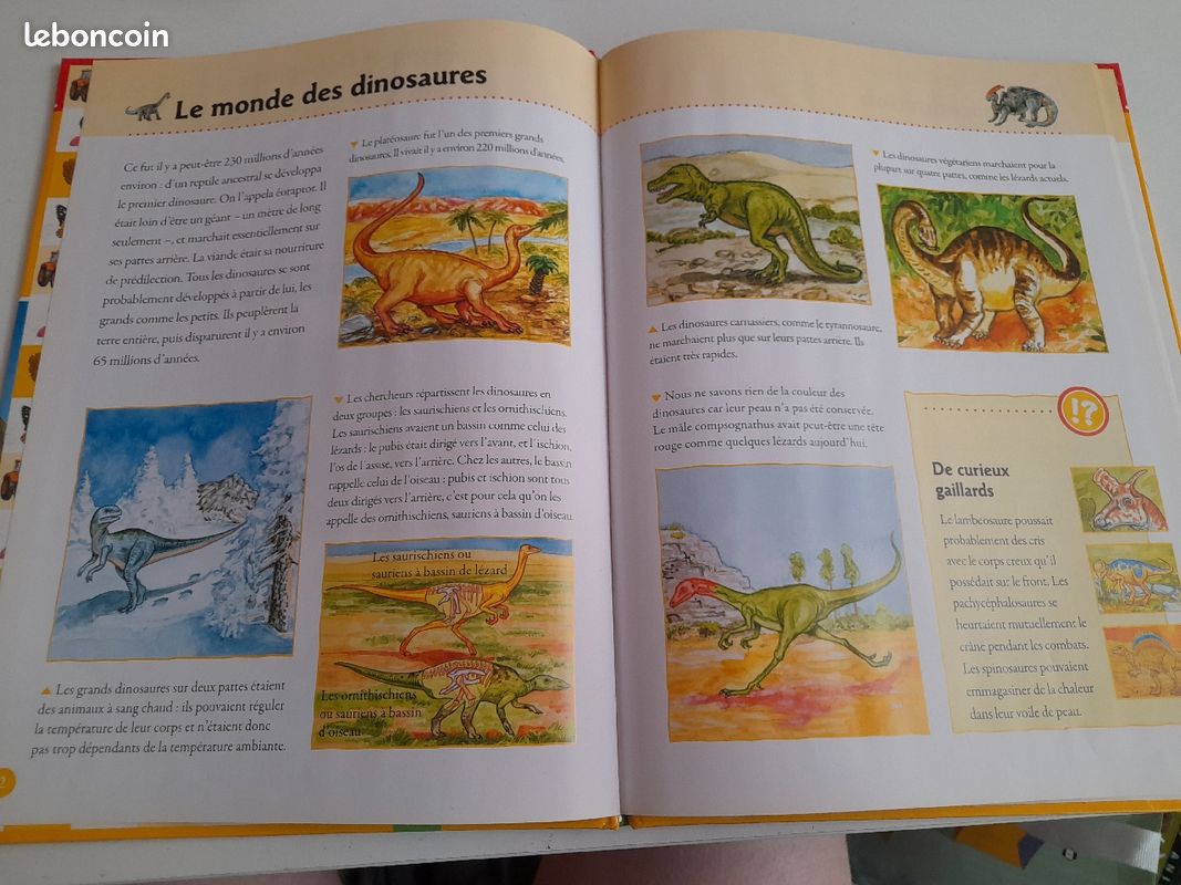 Livre pour enfants (image 3)