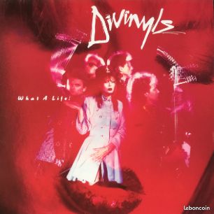 What A Life (1985) Divinyls VINYLE (image 1)