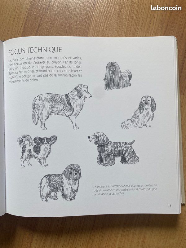 Manuel complet du dessinateur (image 4)