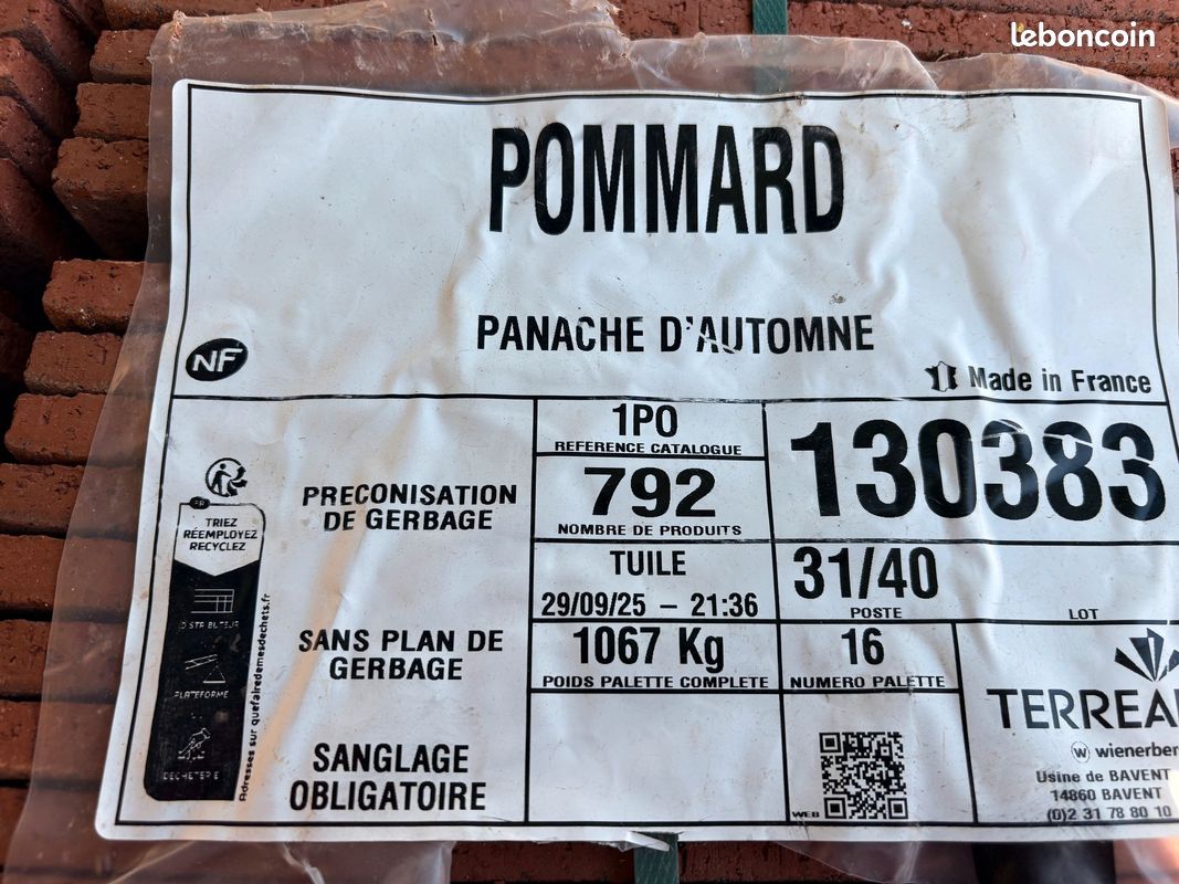 Tuile plate Pommard 17x27 (image 3)