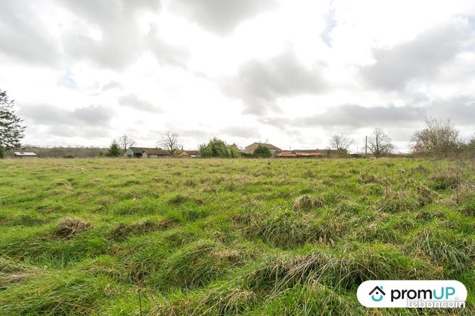Terrain 7 200 m² Vieux Ruffec
