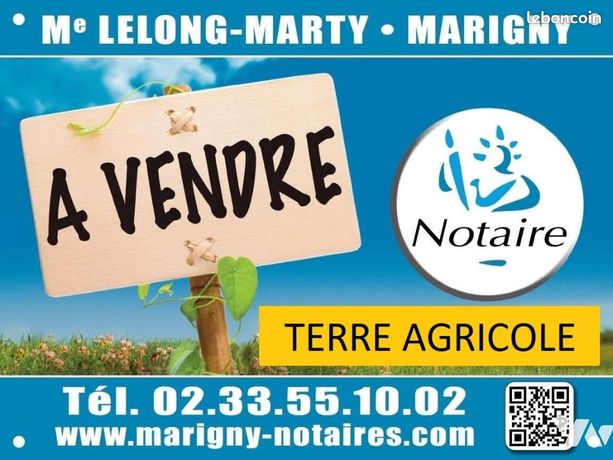 Terrain 31696 m² LE MESNIL EURY